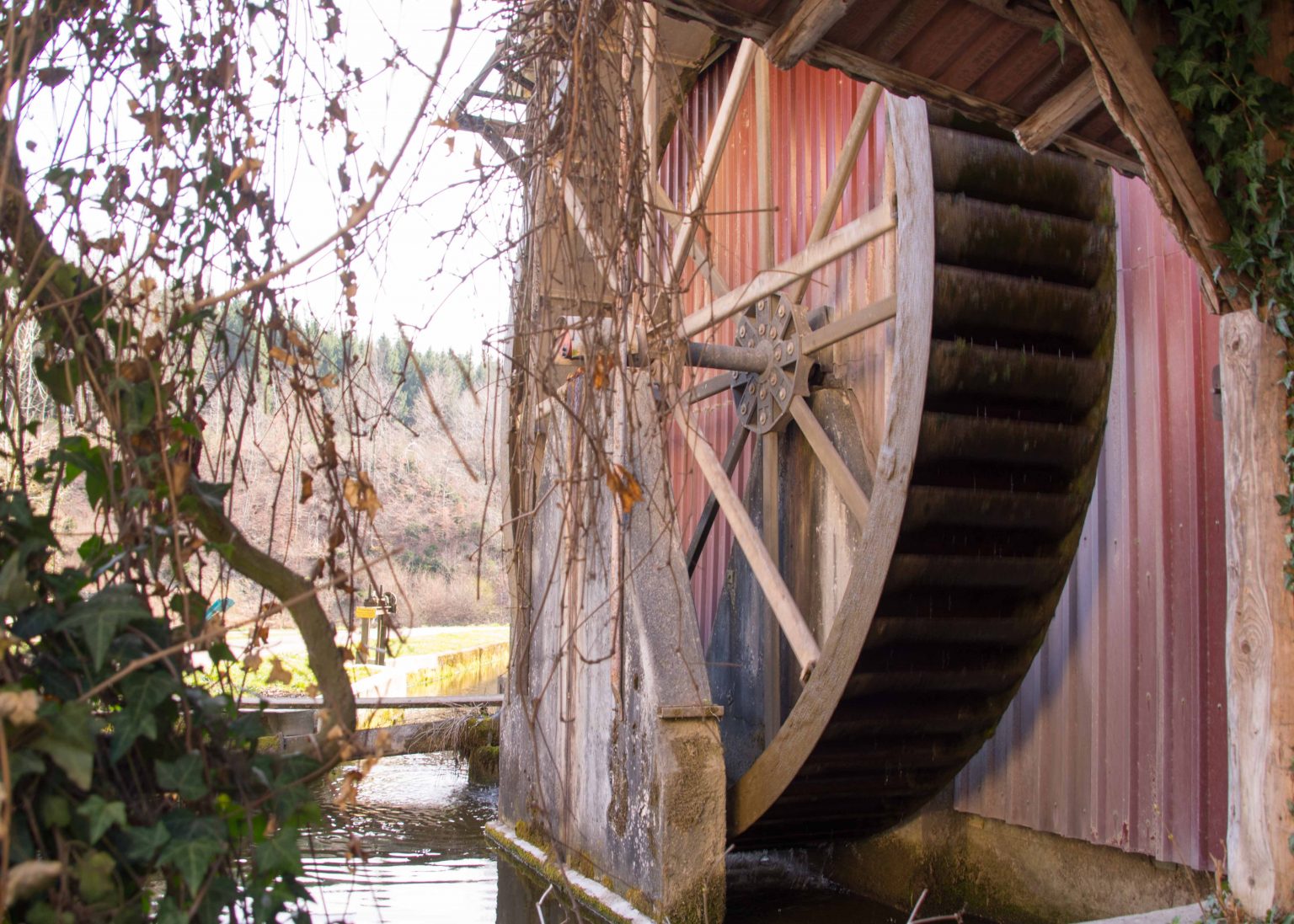 Löffelmühle Bergatreute – Bestes Futtermittel für ihr Tier aus Oberschwaben